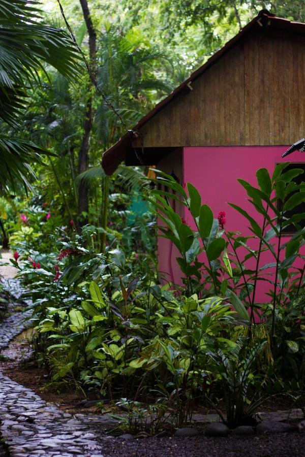 Casa Colores Montezuma Exterior photo